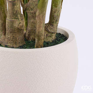 EDG Enzo De Gasperi Pianta Artificiale Palma Areca Vogue con Vaso H210 Cm