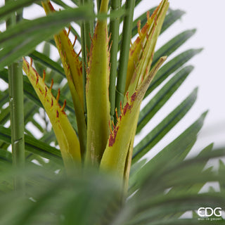 EDG Enzo De Gasperi Pianta Artificiale Palma Areca Vogue con Vaso H210 Cm