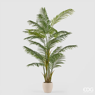 EDG Enzo De Gasperi Pianta Artificiale Palma Areca Vogue con Vaso H210 Cm