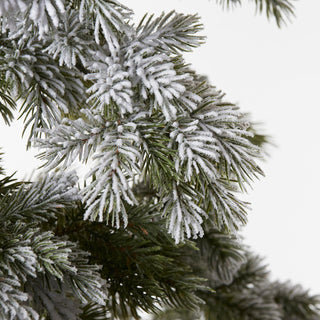 EDG Enzo de Gasperi Merano Pine Christmas Tree covered with snow 240 cm with 700 led lights
