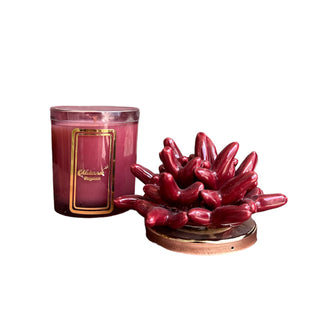 Melaverde Anemone Bordeaux Ceramic Candle 200g