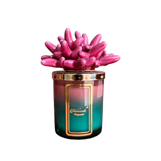 Melaverde Candela Bicolore Anemone Fucsia in Ceramica 200g