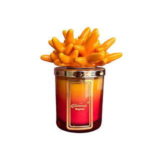 Melaverde Orange Anemone Ceramic Candle 200g