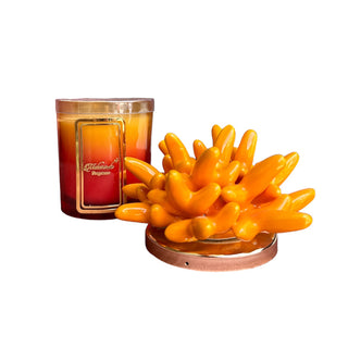 Melaverde Orange Anemone Ceramic Candle 200g