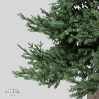 Le Gioie Pino McCallister Albero di Natale 240 cm Full PE con 5600 Rice Led