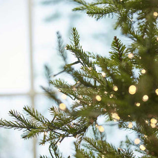 EDG Enzo de Gasperi Christmas Tree Pine Luxury New 240 cm with 4000 mini LEDs D115 cm
