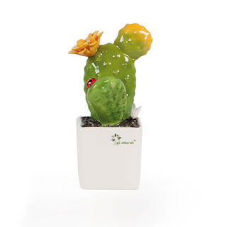 The Saplings Small Succulent Plant Prickly Pear H18 cm