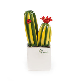 Los plantones de plantas suculentas del cactus Al. 18 cm