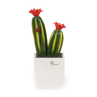 The Saplings Medium Succulent Plant Cactus H23 cm