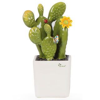 The Saplings Large Prickly Pear Plant H33 cm
