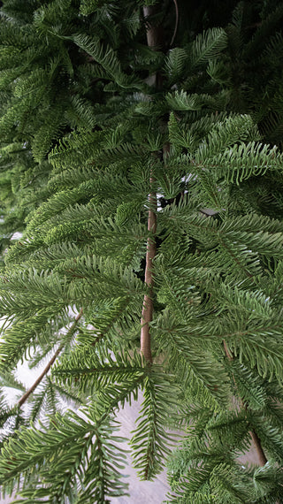 Rockefeller Weihnachtsbaum von Salvatore Izzo H 240 cm Ultra Realistic total PE