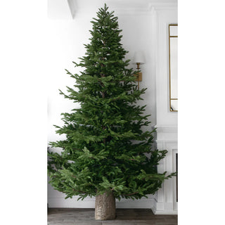 Weihnachtsbaumstammsockel H45 T31,5 cm von Salvatore Izzo