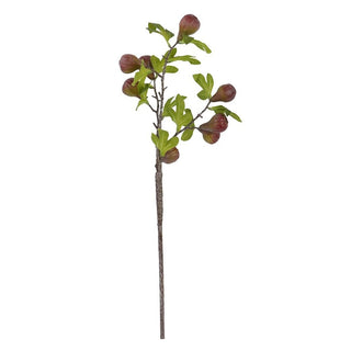 Andrea Bizzotto Ramo di Fico con 8 frutti H68 cm