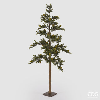 EDG Enzo De Gasperi Pino Con Pigne e Base H170 cm