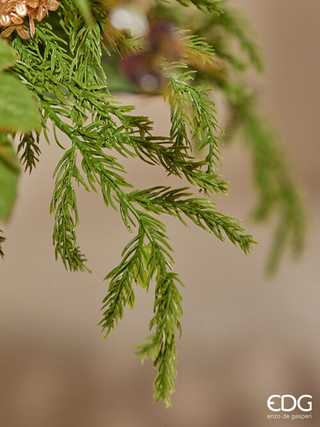 EDG Enzo De Gasperi Ramo di Criptomeria H71 cm