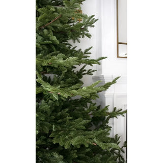 Rockefeller Weihnachtsbaum von Salvatore Izzo H 240 cm Ultra Realistic total PE