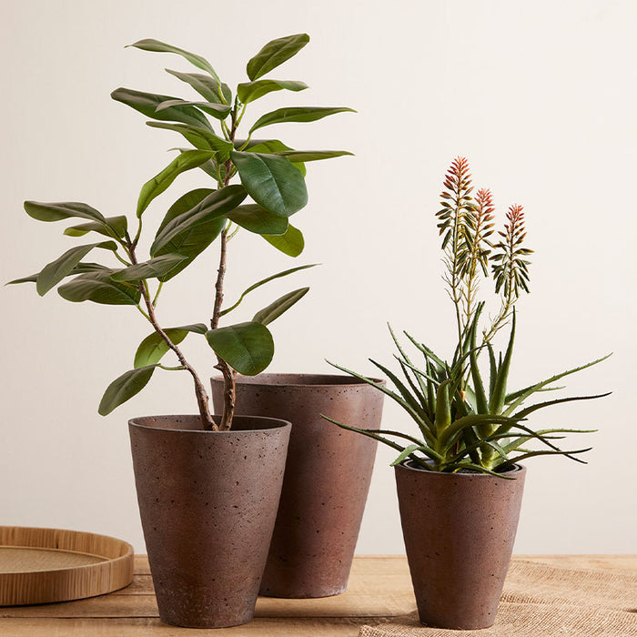 EDG Enzo De Gasperi pianta Aloe con vaso e fiori H50 cm