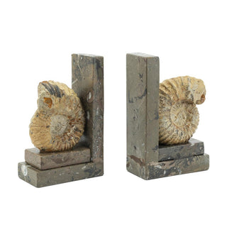 Abhika Bookend with Real Fossil H17 cm