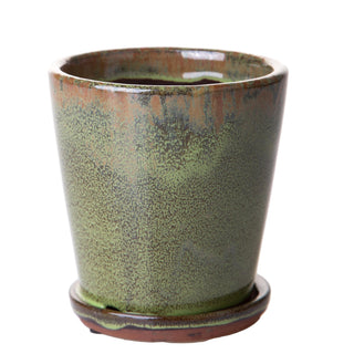 Dino Bianchi Vasetto per piante aromatiche D14 cm