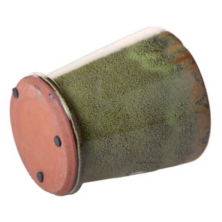 Dino Bianchi Vasetto per piante aromatiche D14 cm