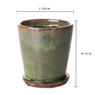 Dino Bianchi Vasetto per piante aromatiche D14 cm