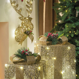 The Black Goose Christmas Decoration Large Pack 24 LEDs H52 cm