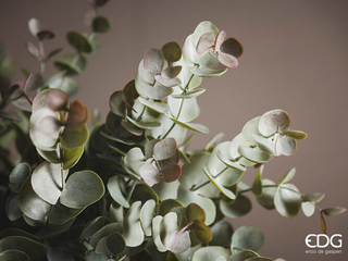 EDG Enzo De Gasperi Artificial Eucalyptus Bush H 50 cm