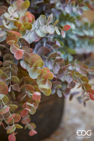 EDG Enzo De Gasperi Artificial Eucalyptus Bush H 50 cm