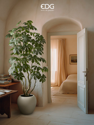 EDG Enzo De Gasperi Pianta Artificiale Aralia Vogue con Vaso H230 cm