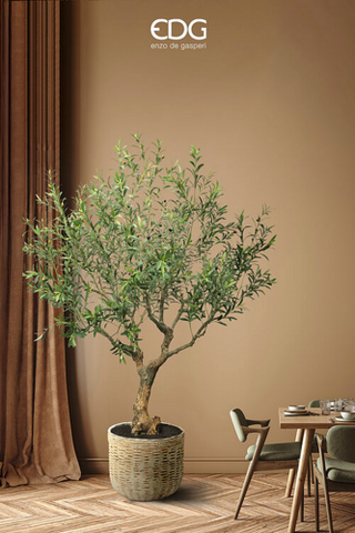 EDG Enzo De Gasperi Pianta Artificiale Olivo Vouge con Vaso H230 cm