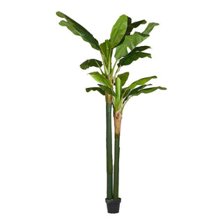 EDG Enzo De Gasperi Artificial Banana Plant Chic with Pot H244 cm