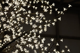 EDG Enzo De Gasperi Apple Tree in Bloom with 5200 LEDs H 4.50 mt