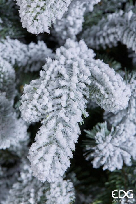 EDG Enzo de Gasperi Merano Pine Christmas Tree covered with snow 240 c ...