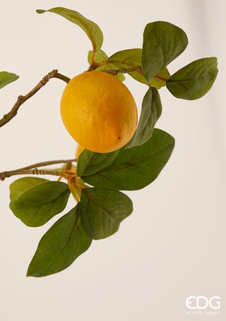 EDG Enzo De Gasperi Rex Lemon Branch H 103 cm