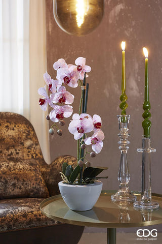 EDG Enzo De Gasperi Orchid Phalaenopsis Real with Pot H50 cm Pink