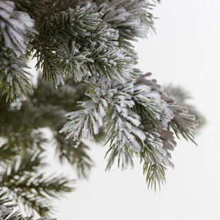 EDG Enzo de Gasperi Merano Pine Christmas Tree covered with snow 240 cm with 700 led lights