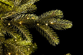 EDG Enzo de Gasperi Merano Pino Árbol de Navidad 240 cm Natural con 700 luces led