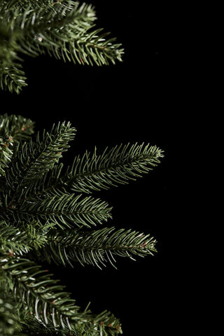 EDG Árbol de Navidad Enzo de Gasperi Pino Merano 270 cm Natural sin LED