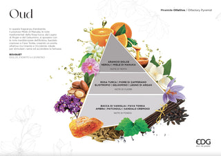 EDG Enzo De Gasperi Raumerfrischer Nachfüllung 1 Lt Oud