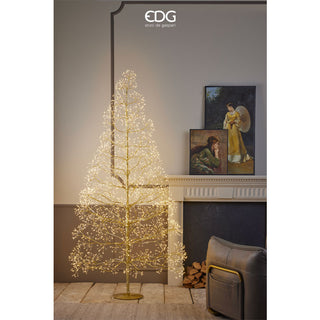 EDG Enzo De Gasperi Beech Tree with 3000 LEDs H210 D110 cm