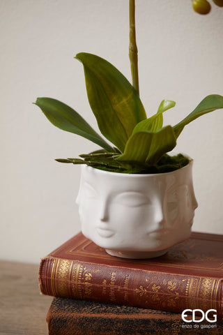 EDG Enzo De Gasperi Offerta Set 3 Orchidee Assortite con vaso Luxury H40 cm