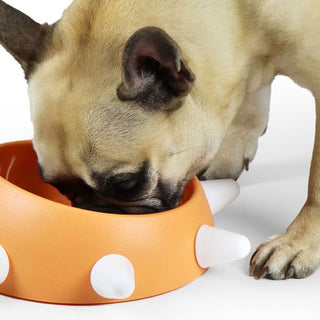 United Pets Boss Small Dog Bowl 500ml Aquamarine