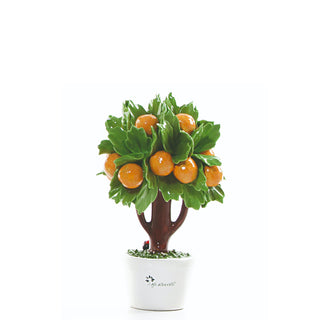 The Saplings Small Orange Tree H16 cm