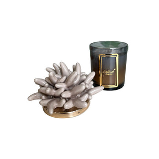 Melaverde Two-Tone Candle 200g Anemone Dove Grey H15 cm