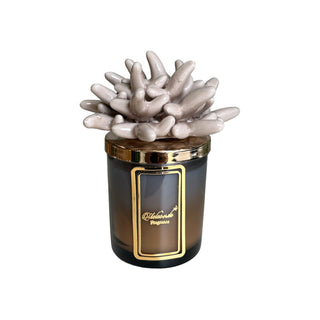 Melaverde Two-Tone Candle 200g Anemone Dove Grey H15 cm