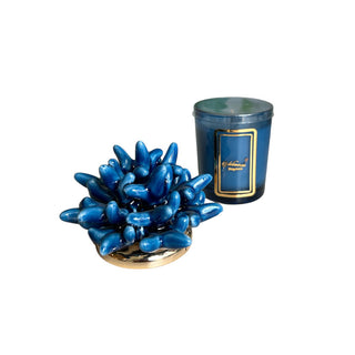 Melaverde Candela 100g Anemone Blu H13 cm