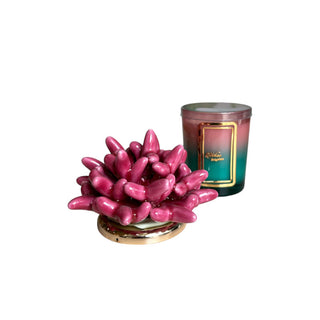 Melaverde Two-Tone Candle 100g Anemone Fuchsia H13 cm