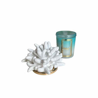 Melaverde Candela Bicolore 100g Anemone Bianco H13 cm