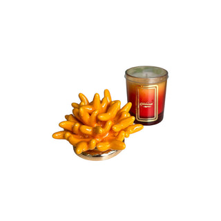 Vela Melaverde Bicolor 100g Naranja Anémona Al. 13 cm