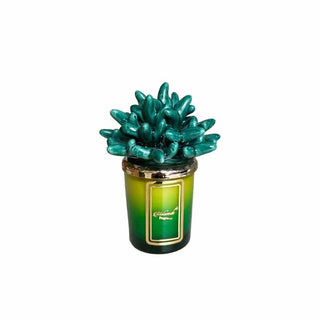 Melaverde Two-Tone Candle 100g Green Anemone H13 cm